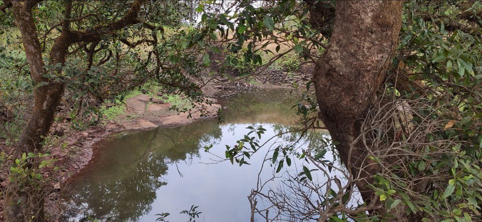 Photo of Vasota-jungle-trek by Arya Kaushal