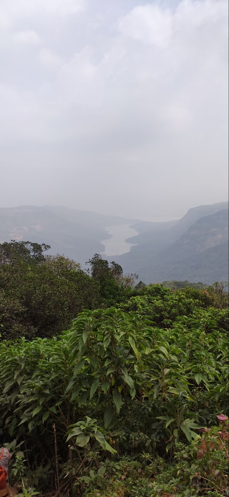 Photo of Vasota-jungle-trek by Arya Kaushal