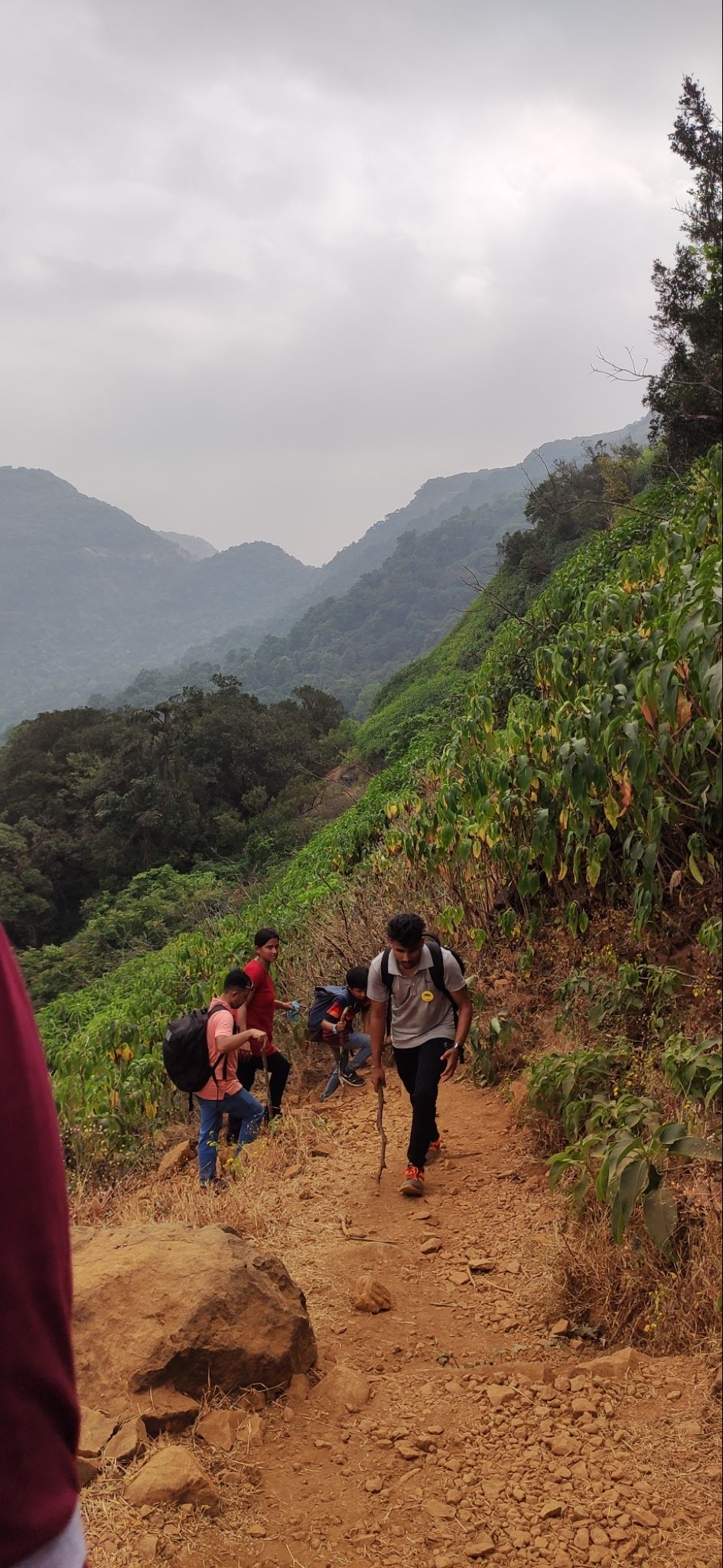 Photo of Vasota-jungle-trek by Arya Kaushal