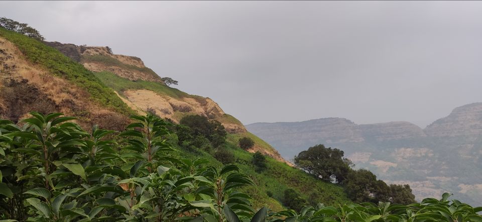 Photo of Vasota-jungle-trek by Arya Kaushal