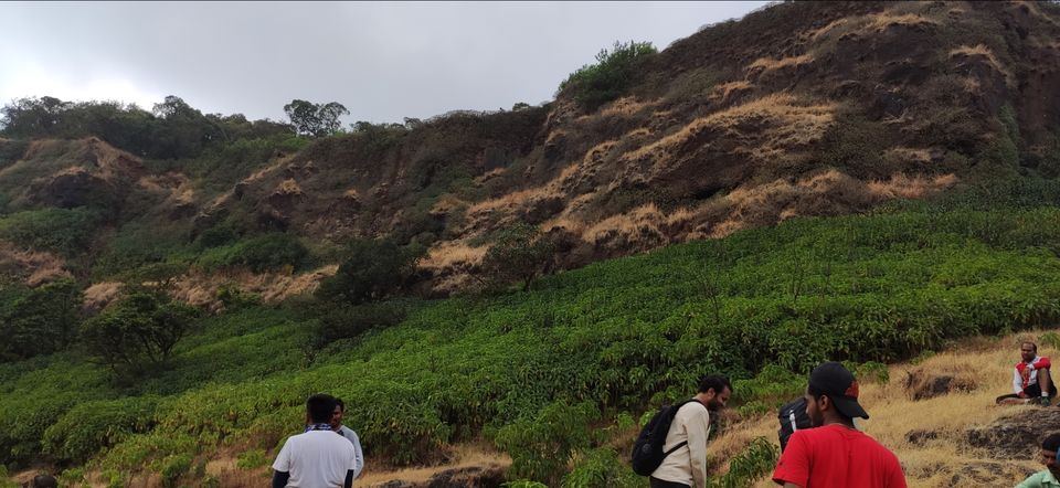 Photo of Vasota-jungle-trek by Arya Kaushal