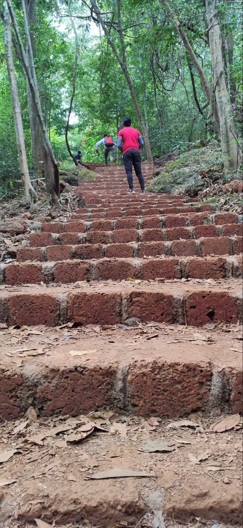 Photo of Vasota-jungle-trek by Arya Kaushal
