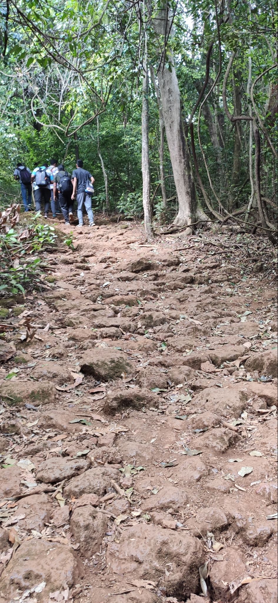 Photo of Vasota-jungle-trek by Arya Kaushal