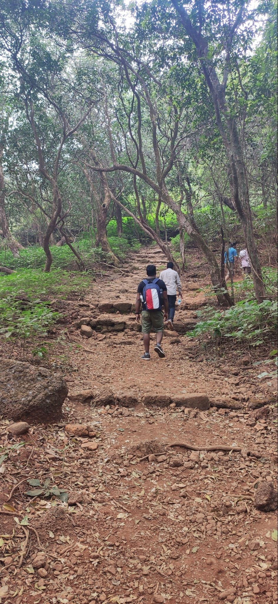 Photo of Vasota-jungle-trek by Arya Kaushal