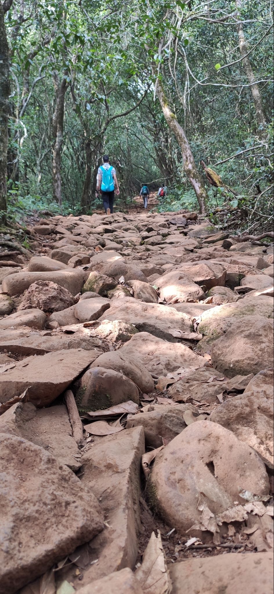 Photo of Vasota-jungle-trek by Arya Kaushal