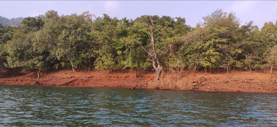 Photo of Vasota-jungle-trek by Arya Kaushal