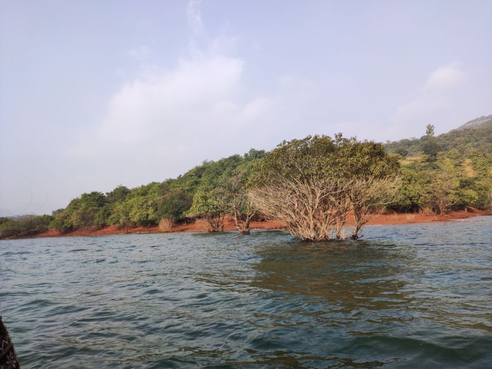 Photo of Vasota-jungle-trek by Arya Kaushal