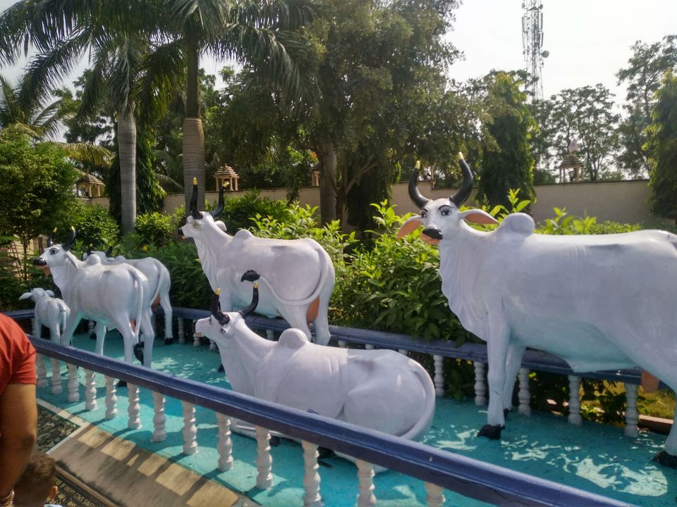 Photo of बड़े शहरों से दूर एक ऐसा स्थान जो मन को मोह ले वो स्थान है पावापुरी by Narendra Naresh Dabi