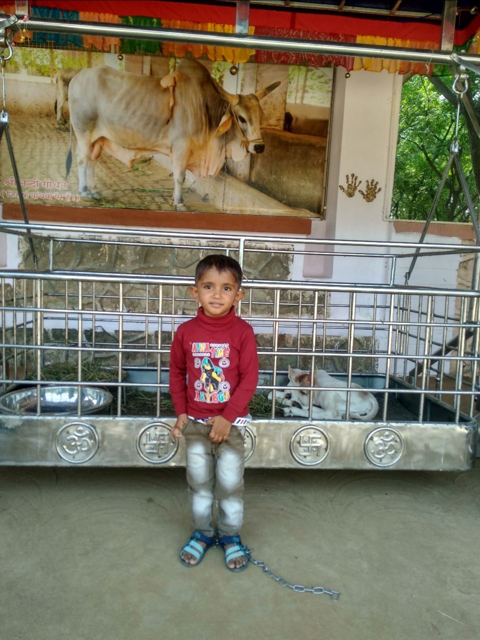 Photo of बड़े शहरों से दूर एक ऐसा स्थान जो मन को मोह ले वो स्थान है पावापुरी by Narendra Naresh Dabi