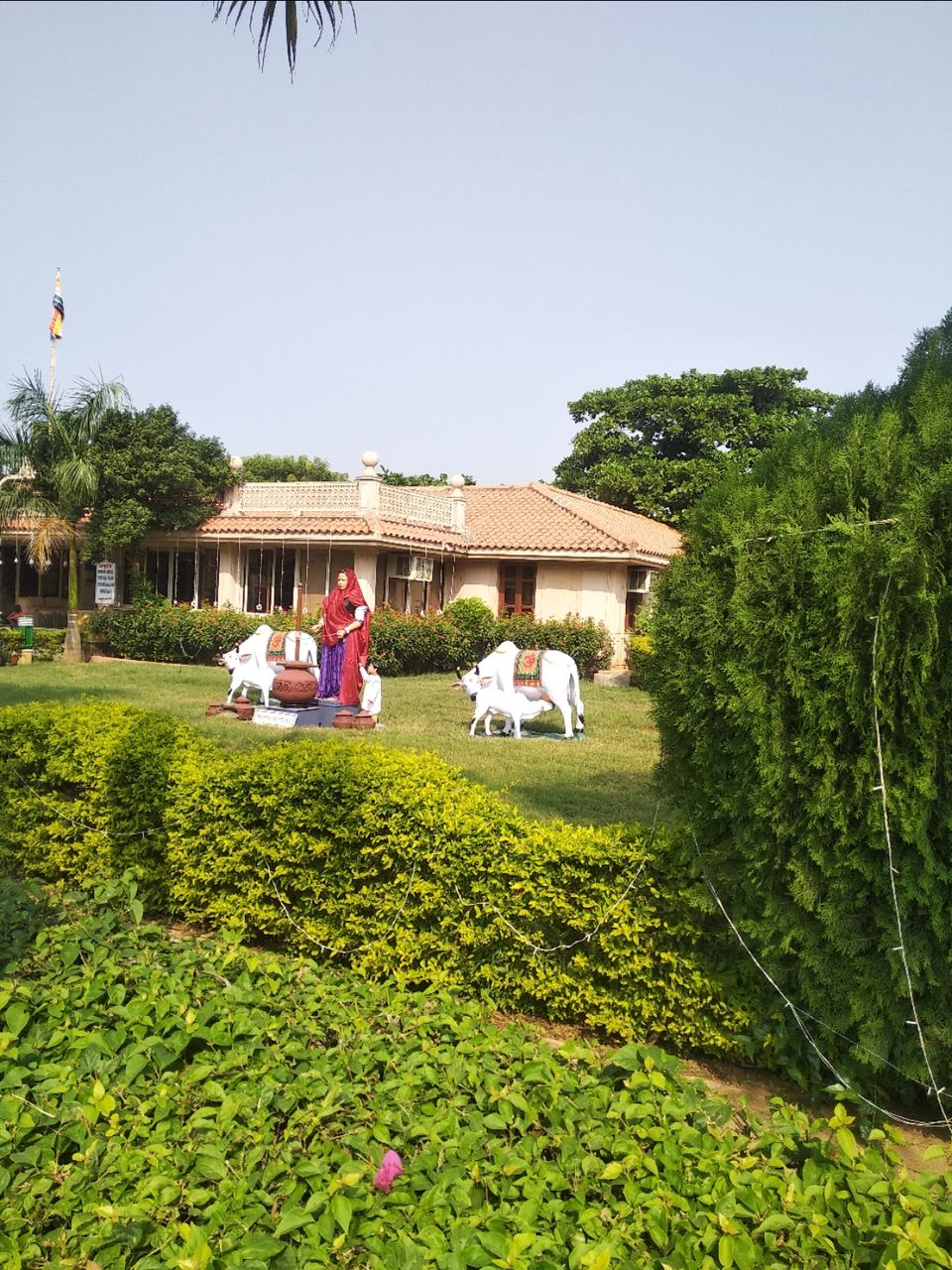 Photo of बड़े शहरों से दूर एक ऐसा स्थान जो मन को मोह ले वो स्थान है पावापुरी by Narendra Naresh Dabi