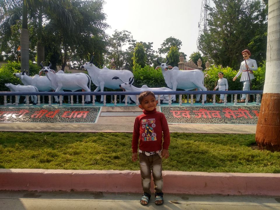 Photo of बड़े शहरों से दूर एक ऐसा स्थान जो मन को मोह ले वो स्थान है पावापुरी by Narendra Naresh Dabi