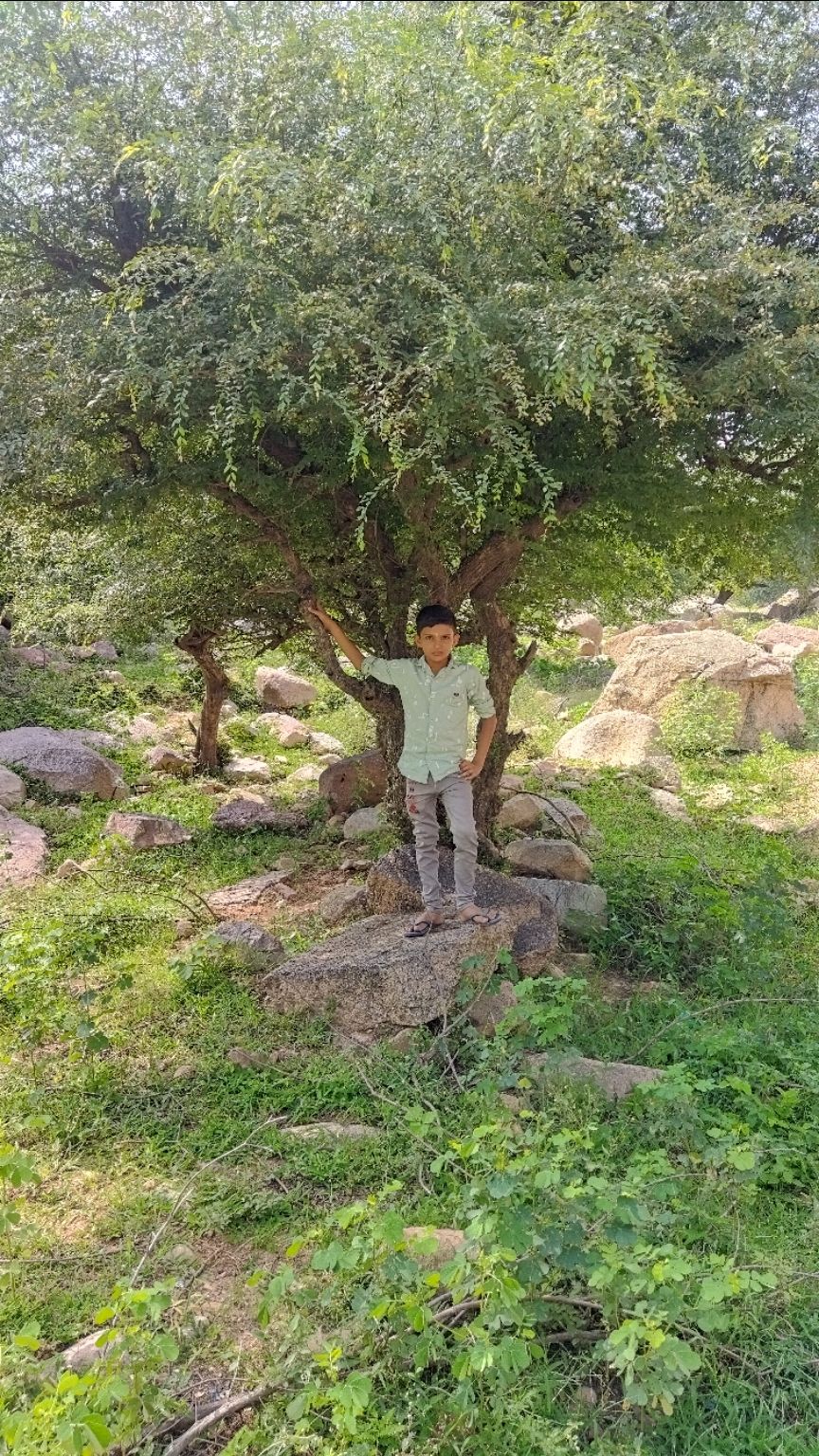 Photo of सुंधामाताजी (जालौर) आए तो इस स्थान पर जाना न भूले - खोडेश्वर महादेव मन्दिर जाविया by Narendra Naresh Dabi