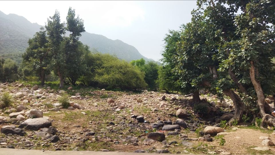 Photo of सुंधामाताजी (जालौर) आए तो इस स्थान पर जाना न भूले - खोडेश्वर महादेव मन्दिर जाविया by Narendra Naresh Dabi