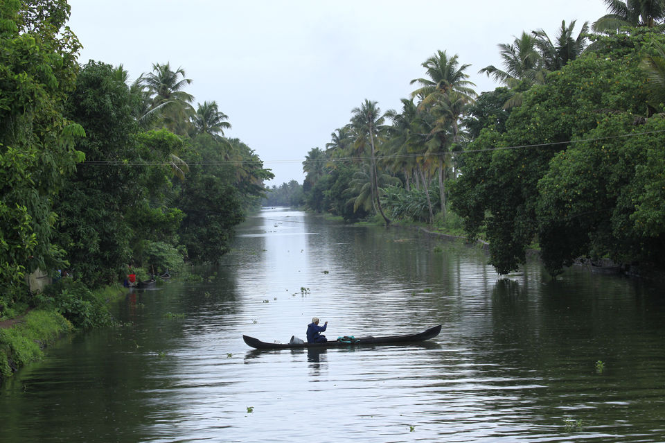 Photo of Tea & Wildlife Trails 5/7 by Vimal Mathew