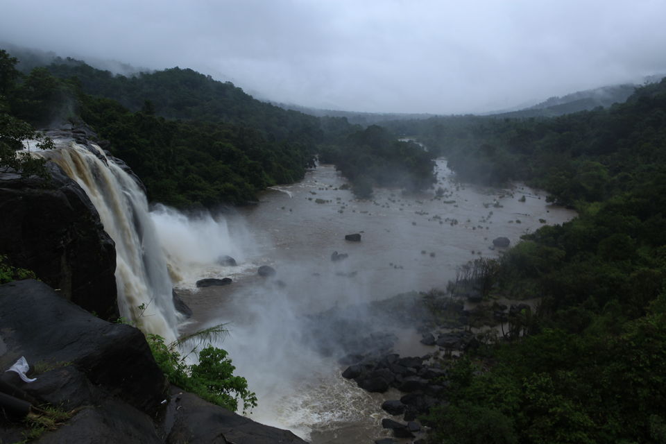 Photo of Tea & Wildlife Trails 6/7 by Vimal Mathew