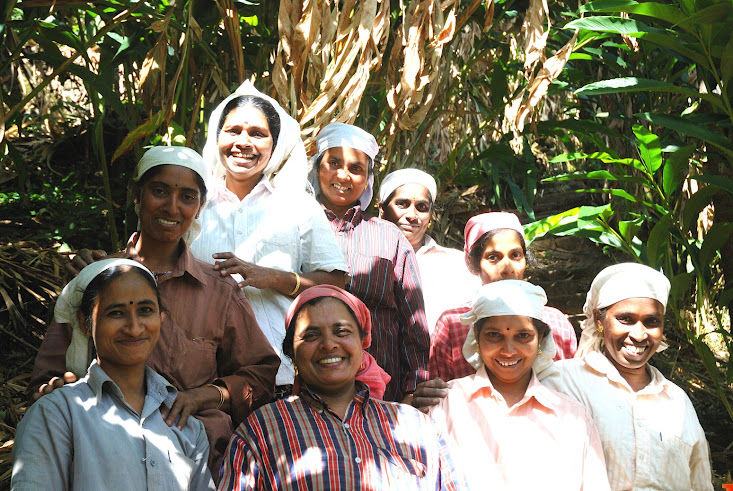 Photo of Tea & Wildlife Trails 2/7 by Vimal Mathew