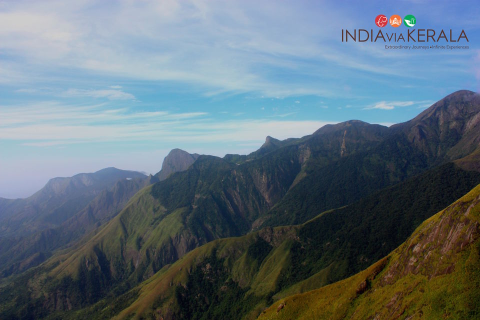 Photo of Live it 'up' in Munnar by Vimal Mathew