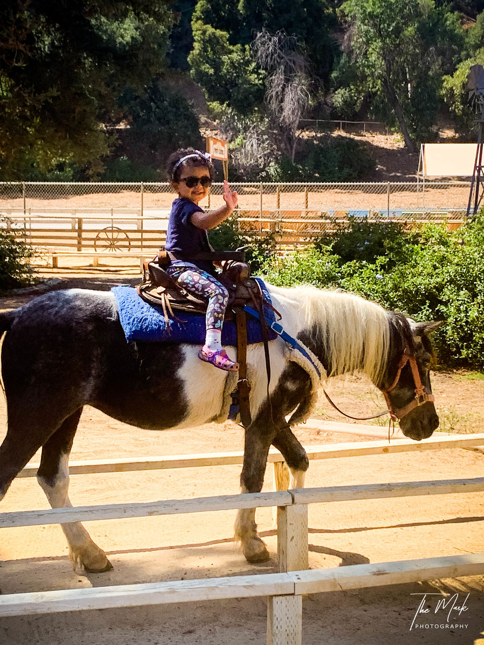 Photo of Griffith Park, Crystal Springs Drive, Los Angeles, CA, USA by Prachi Shah