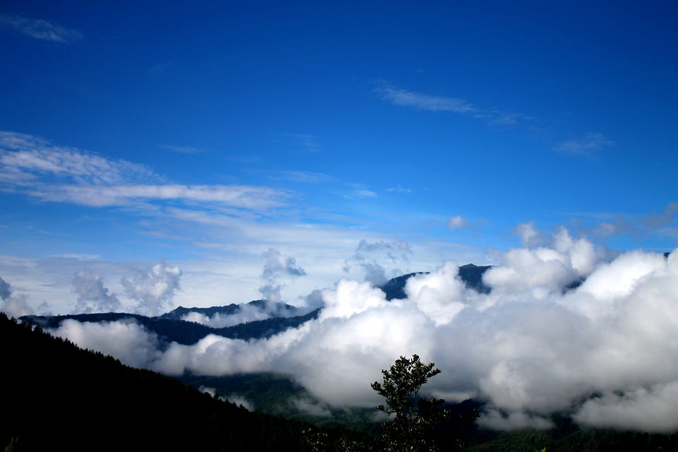 Photo of The Royal Kingdom of Bhutan - Reclaim a part of your soul :) 5/19 by Sapna Dandona