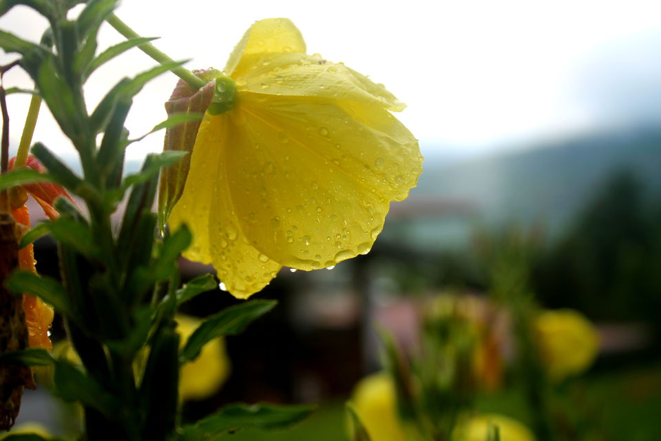 Photo of The Royal Kingdom of Bhutan - Reclaim a part of your soul :) 17/19 by Sapna Dandona