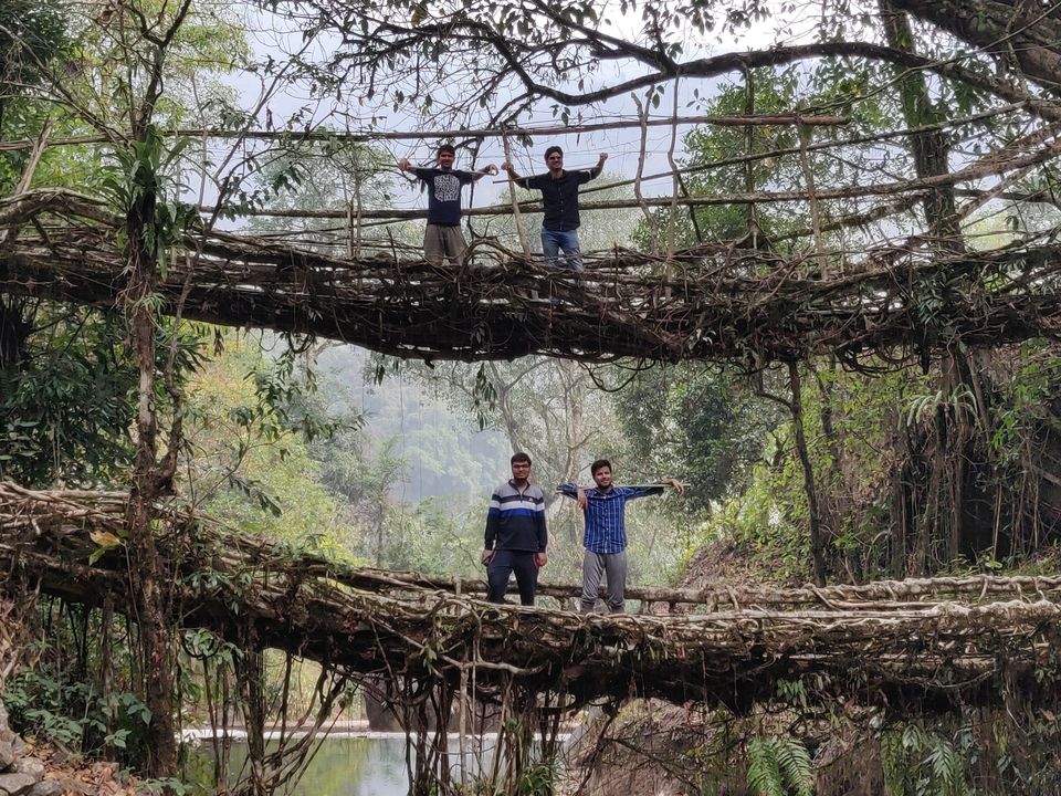 Photo of Double Root Bridge by Ravindra Pal