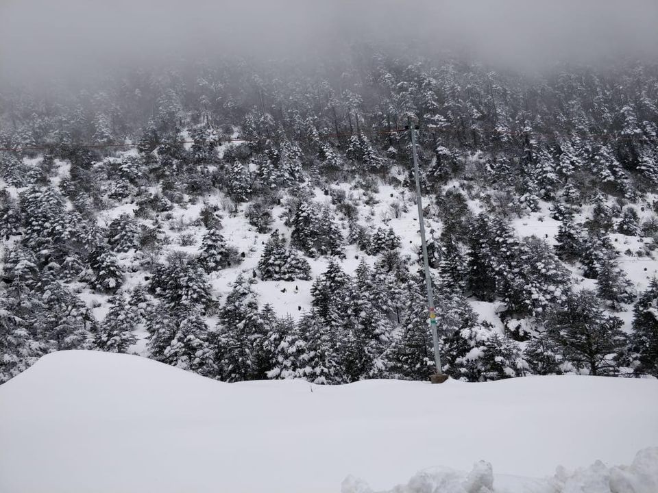 Photo of Tawang – The Secret Paradise 2/5 by Spurthi Shetty