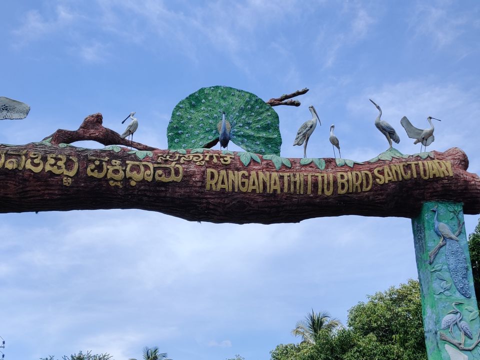 Photo of Monsoon ride Wildlife Circuit by Karthikeyan