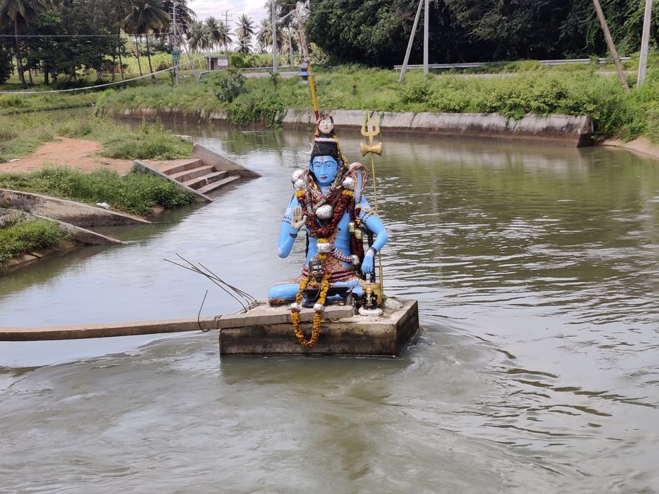 Photo of Monsoon ride Wildlife Circuit by Karthikeyan