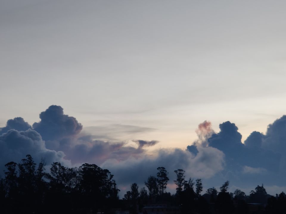 Photo of Monsoon ride Wildlife Circuit by Karthikeyan