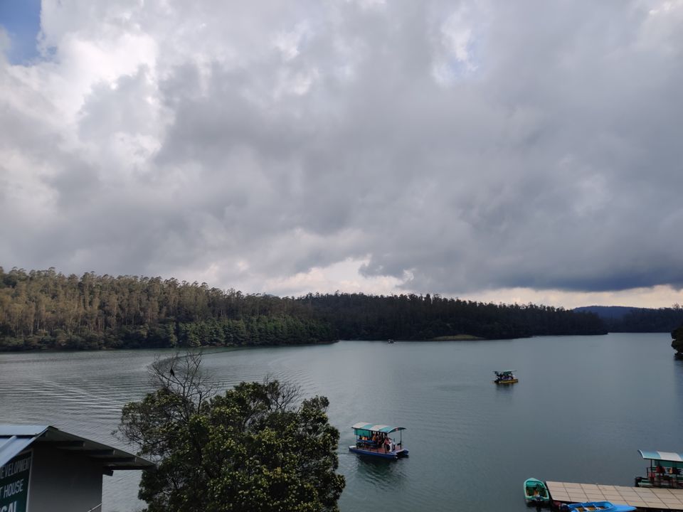Photo of Monsoon ride Wildlife Circuit by Karthikeyan
