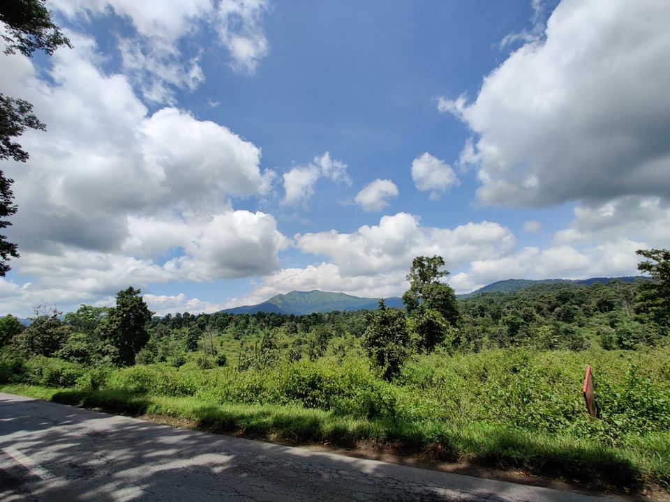 Photo of Monsoon ride Wildlife Circuit by Karthikeyan