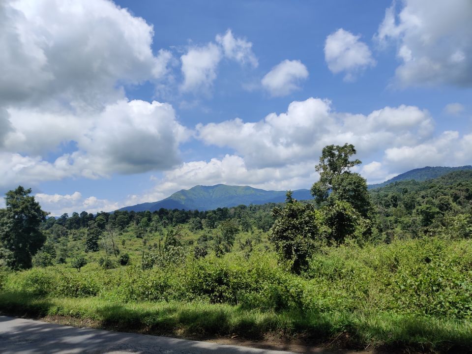 Photo of Monsoon ride Wildlife Circuit by Karthikeyan