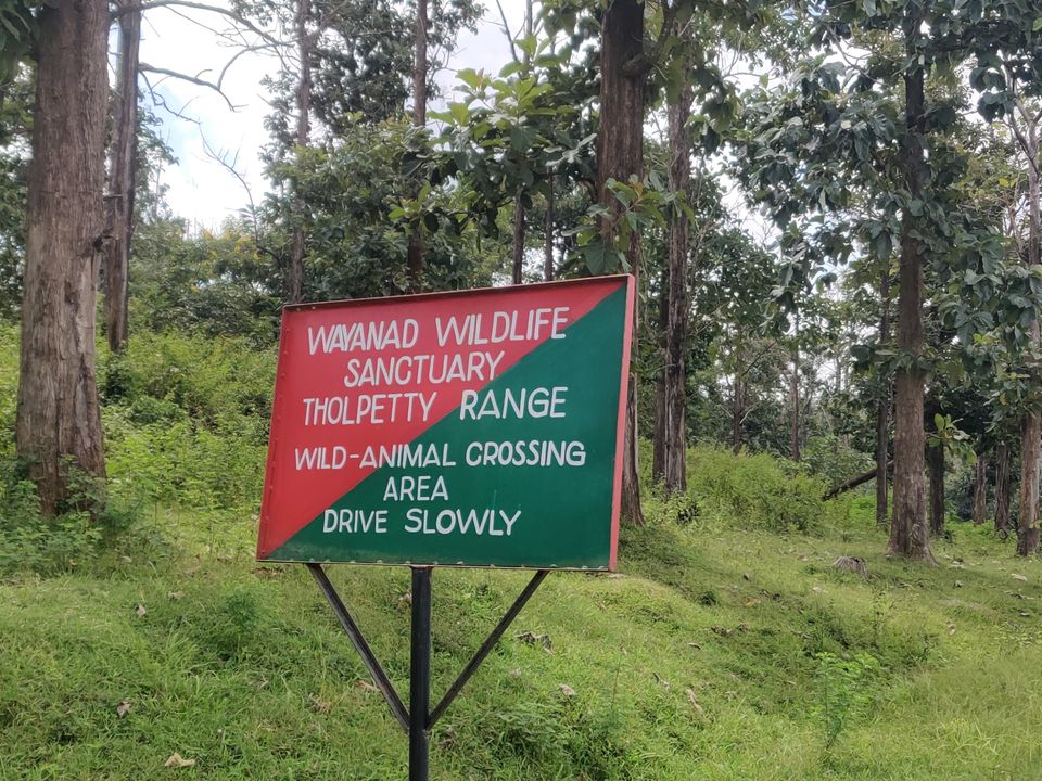 Photo of Monsoon ride Wildlife Circuit by Karthikeyan