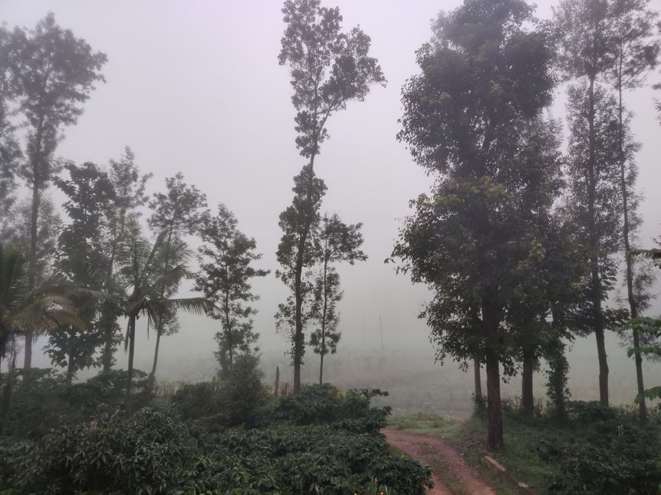Photo of Monsoon ride Wildlife Circuit by Karthikeyan