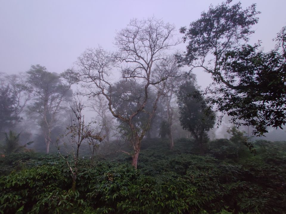 Photo of Monsoon ride Wildlife Circuit by Karthikeyan