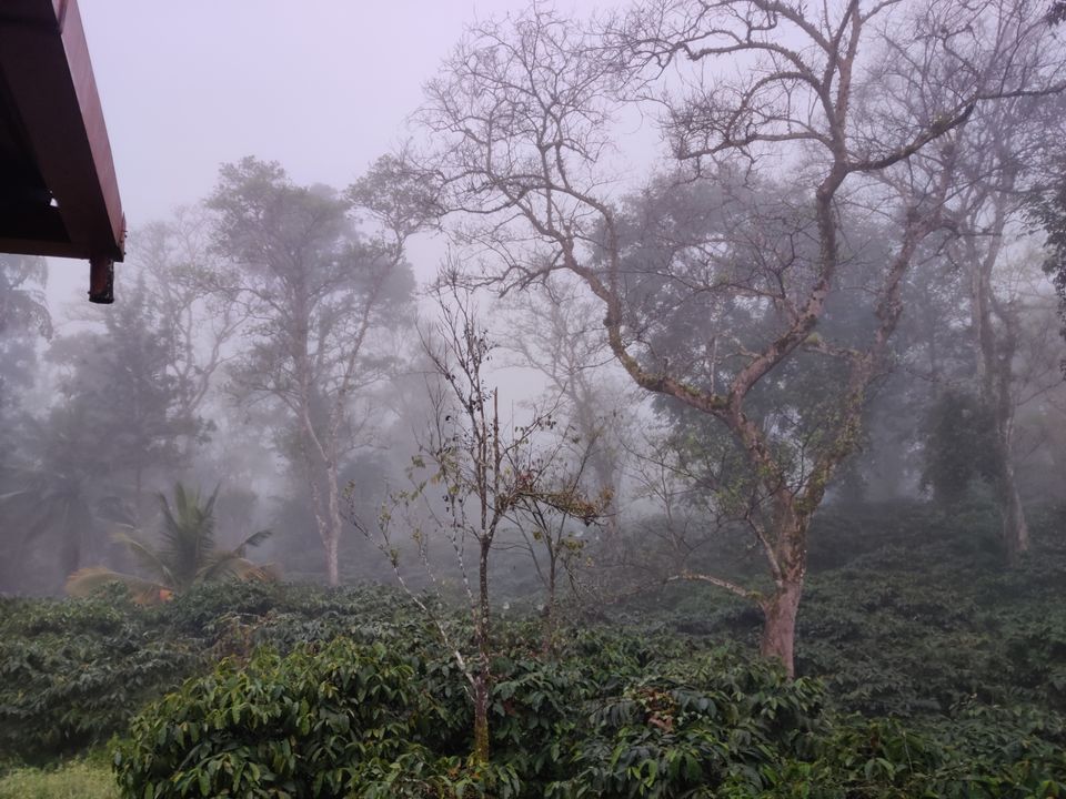 Photo of Monsoon ride Wildlife Circuit by Karthikeyan