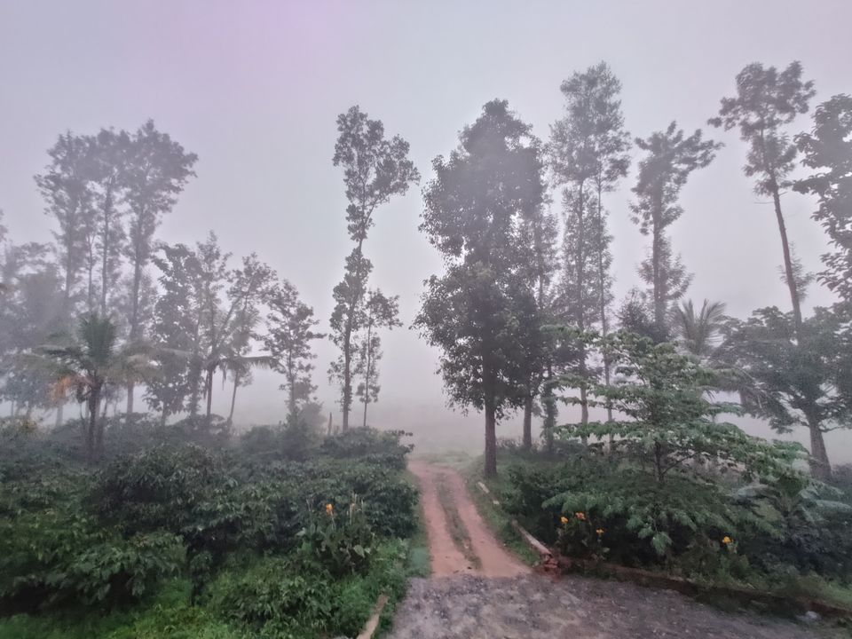 Photo of Monsoon ride Wildlife Circuit by Karthikeyan