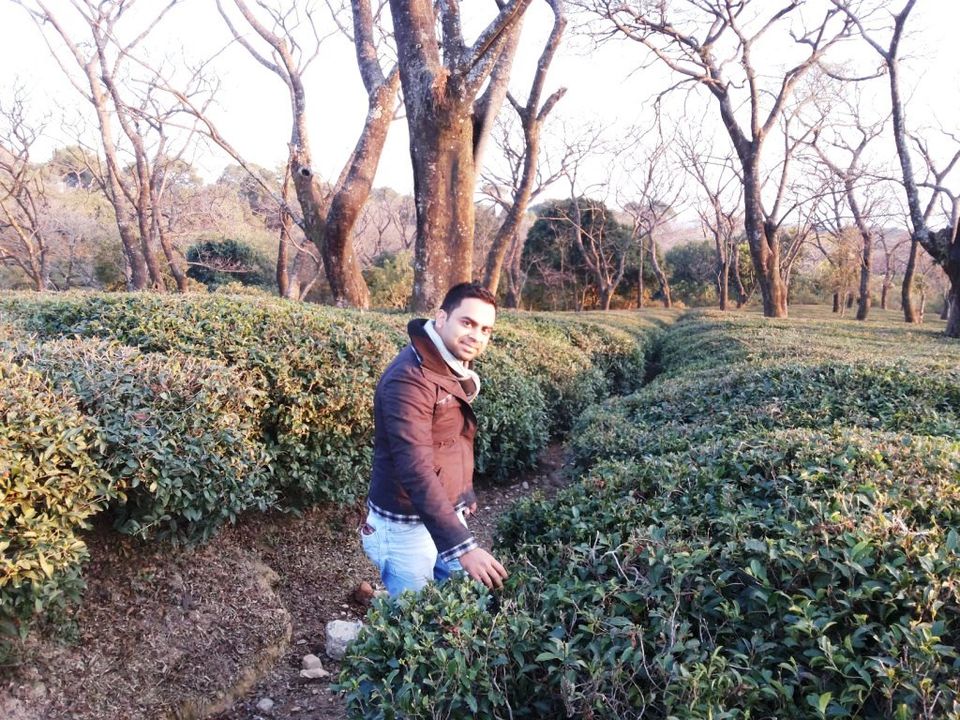 Photo of Dharamshala and Mcleodganj | Underrated paradise on earth 1/17 by anirudhsingh