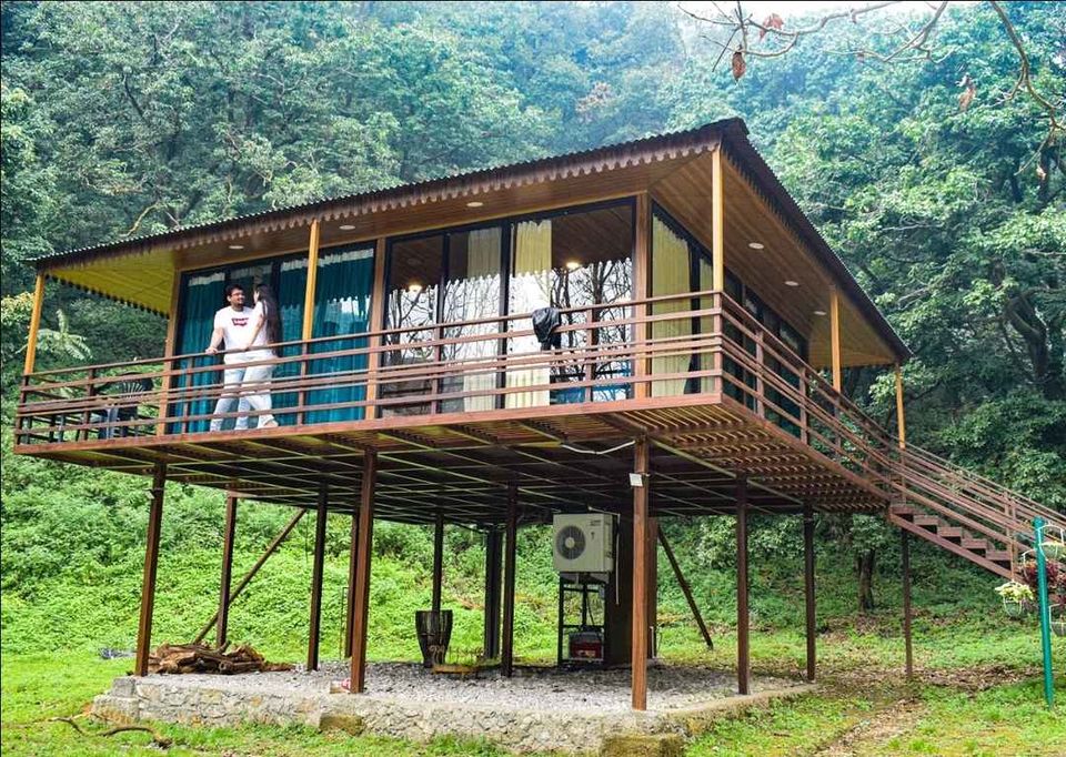 Photo of This pooch-friendly homestay is every dog lovers dream by Chandan deep Kour