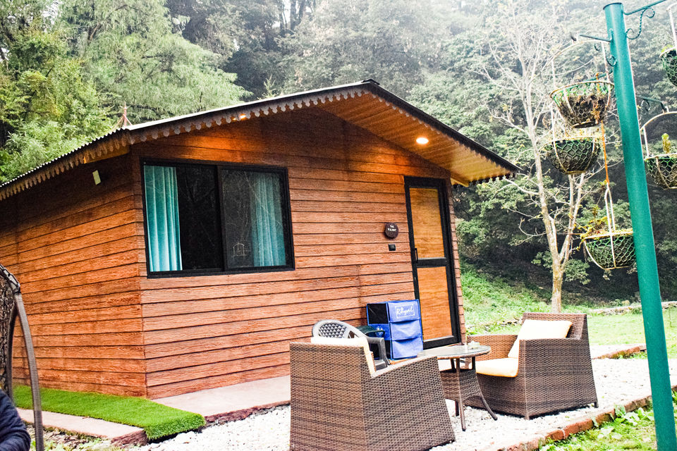 Photo of This pooch-friendly resort is every dog lovers dream by chandan deep Kour