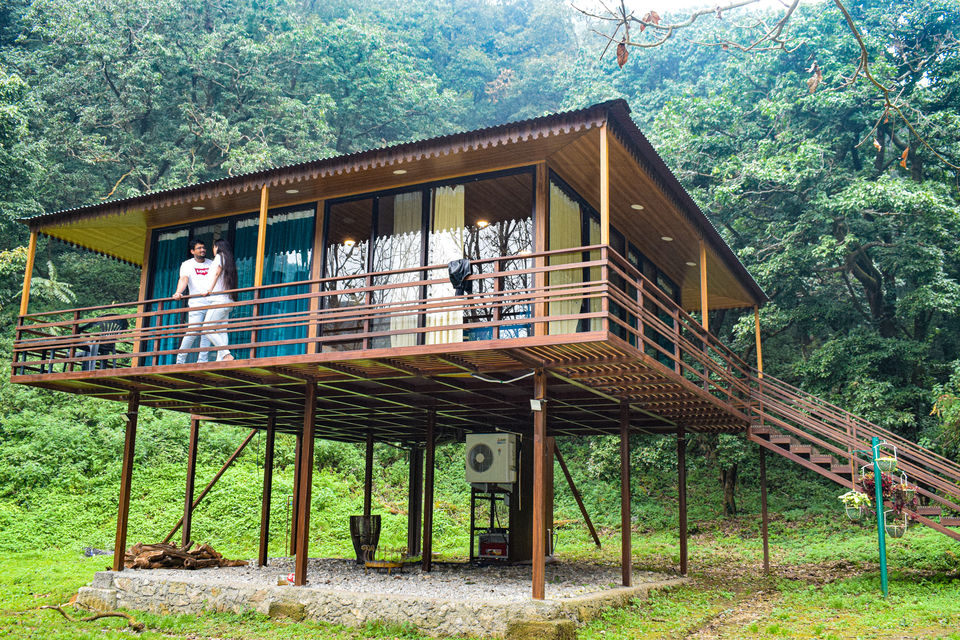 Photo of This pooch-friendly resort is every dog lovers dream by chandan deep Kour