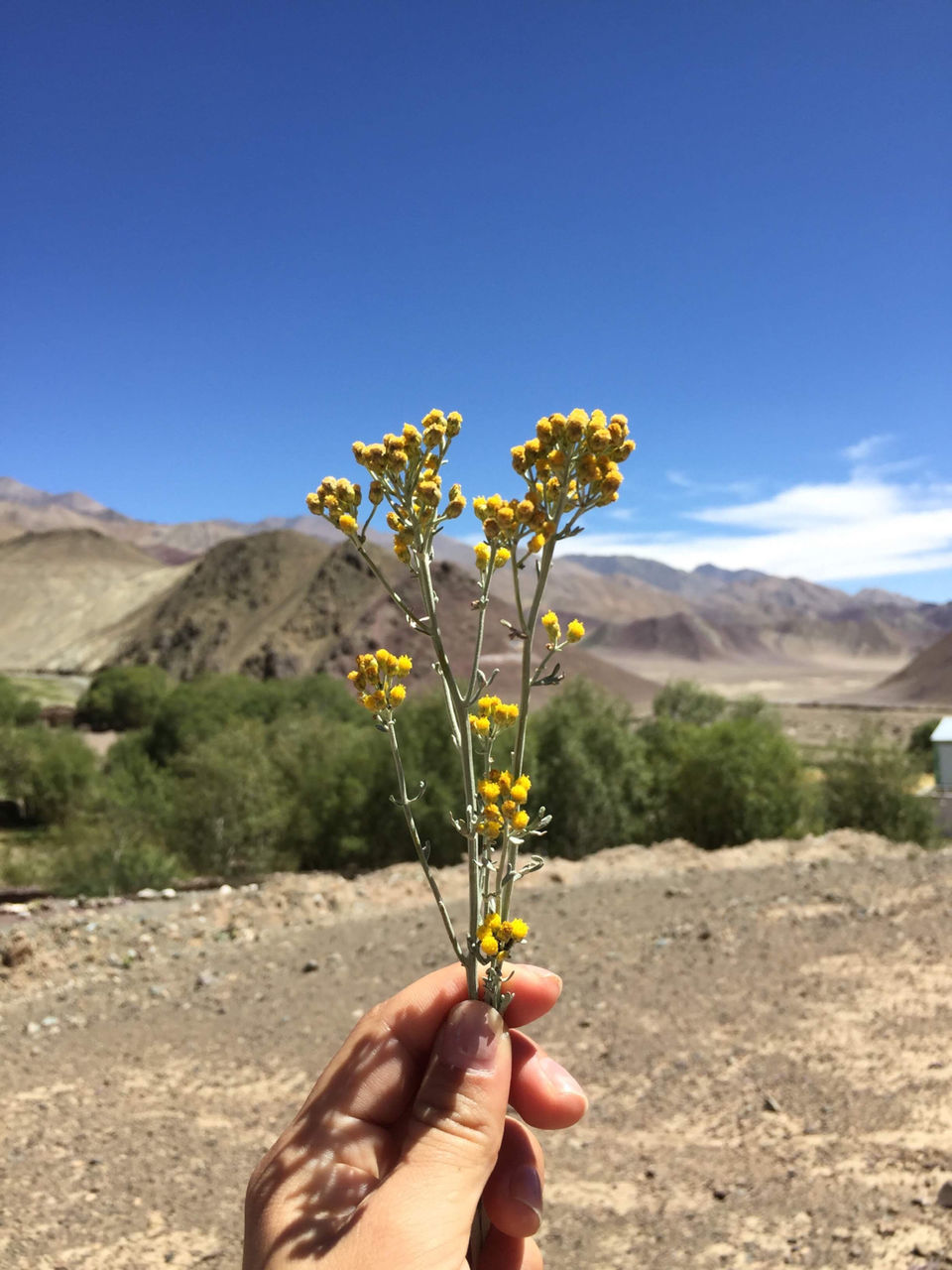 Photo of Mahe, Leh by Gnirest