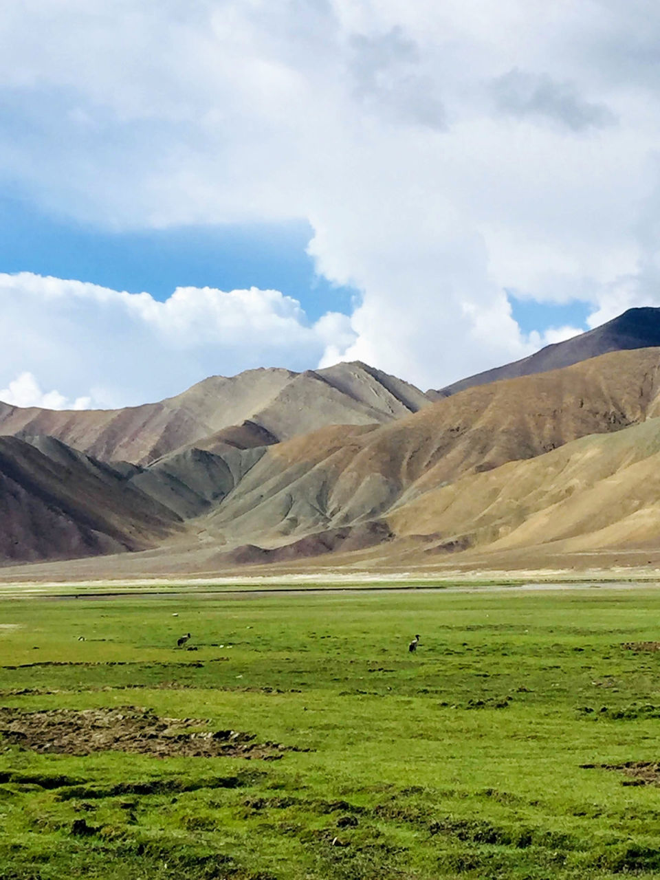 Photo of Hanle Gompa, Hanle by Gnirest
