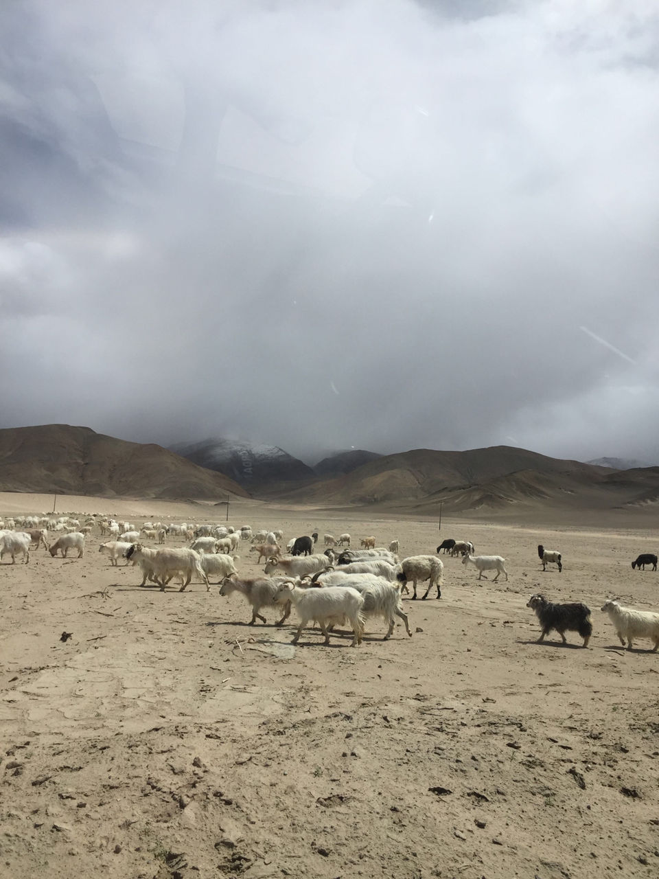 Photo of Ladakh (The Land Of Monasteries) by Gnirest