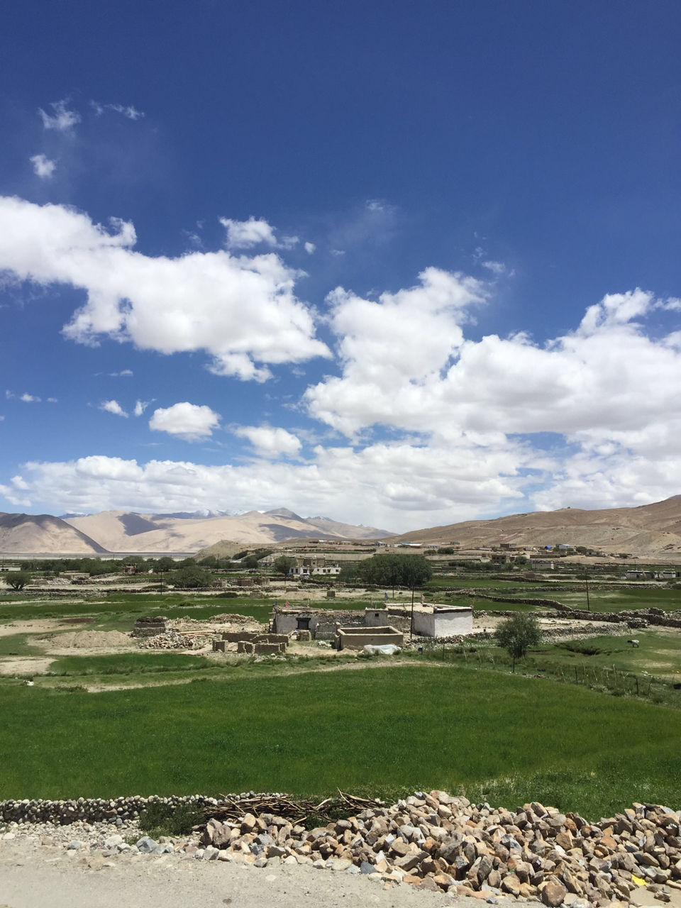 Photo of Ladakh (The Land Of Monasteries) by Gnirest