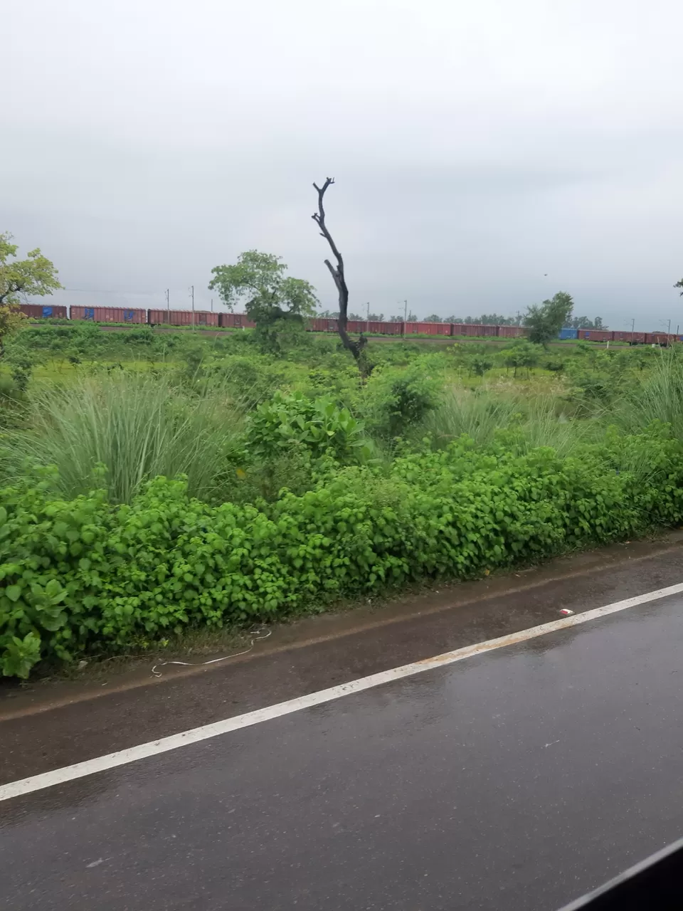 Photo of A day out in Bahraich and Shravasti by Ishan Adhikari