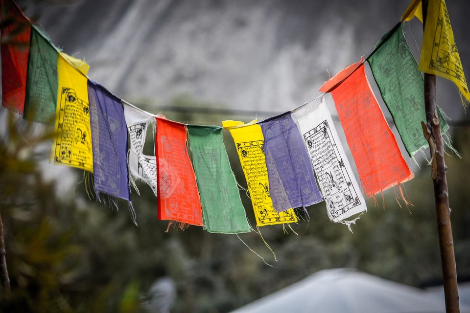 Photo of Himachal Tales by Sayani Nandy
