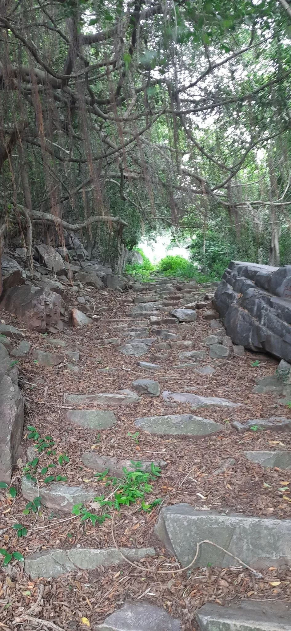 Photo of Udayagiri, Andhra Pradesh 524226, India by Vishnu Vardhan
