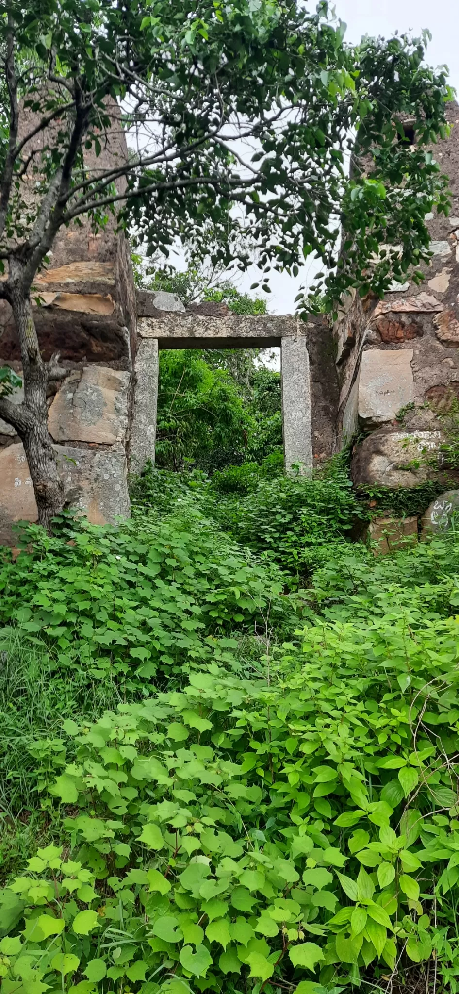 Photo of Udayagiri, Andhra Pradesh 524226, India by Vishnu Vardhan
