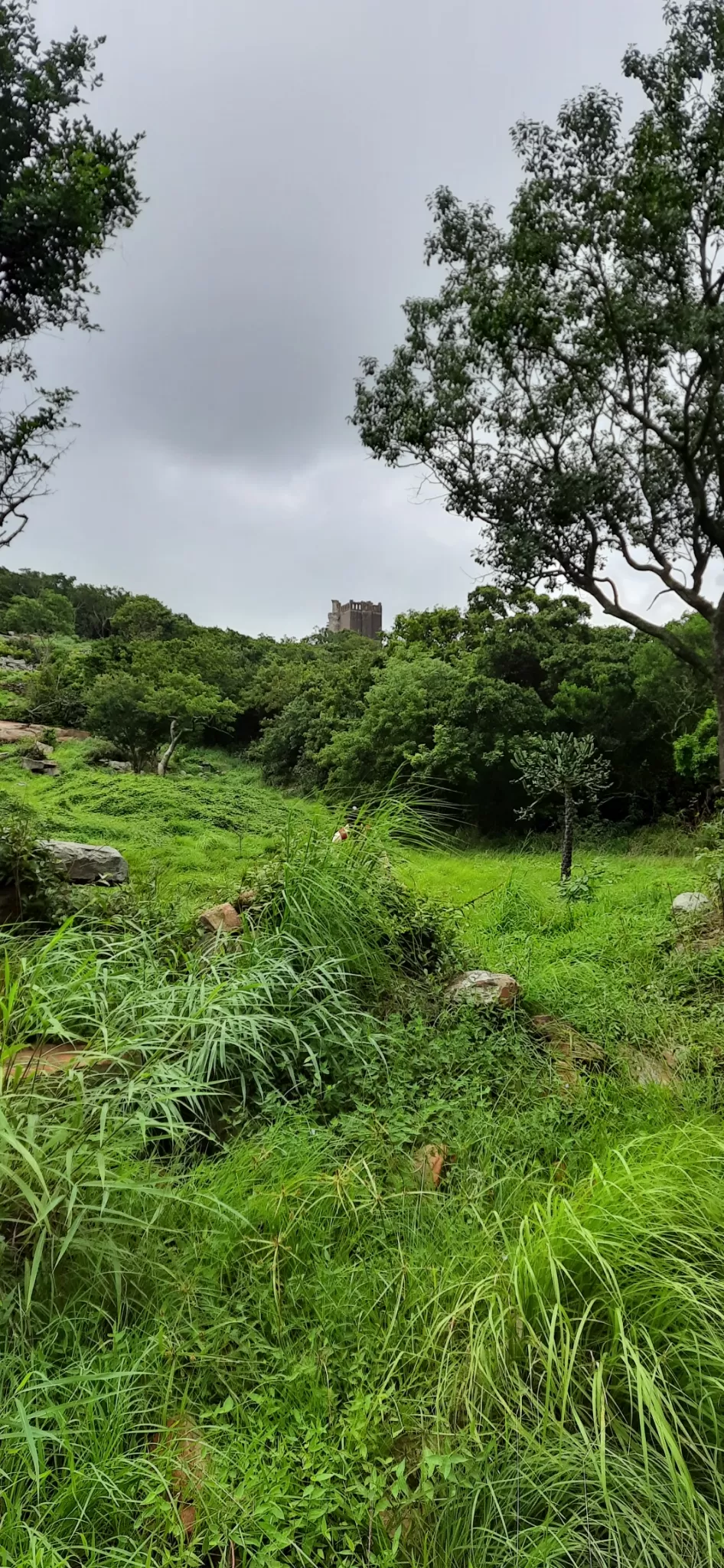 Photo of Udayagiri, Andhra Pradesh 524226, India by Vishnu Vardhan